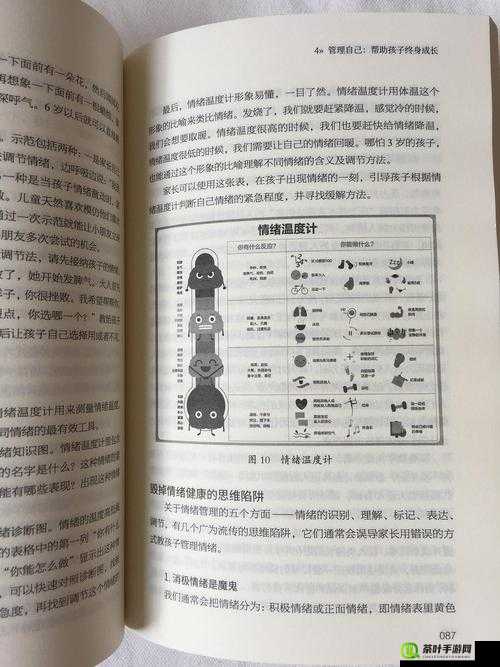 自 W 到高 C 的 50 种图片教程视频详细解读与实操指南